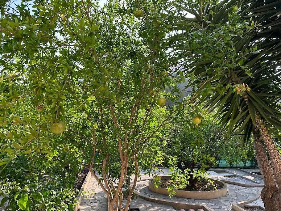 Villa Lily A 10 Min De L'Aeroport De Nice Cagnes-sur-Mer Сasa de vacaciones